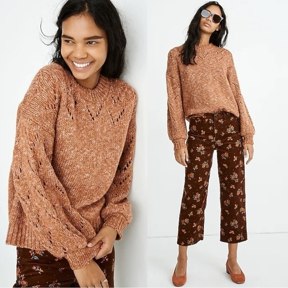 Madewell Pointelle Bubble-Sleeve Pullover Sweater in Marled Acorn Brown Small - Picture 1 of 14